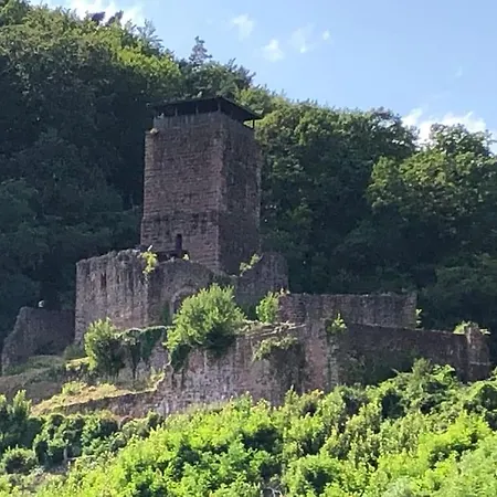 Zeitlos Lägenhet Gundelsheim (Baden-Wurttemberg)